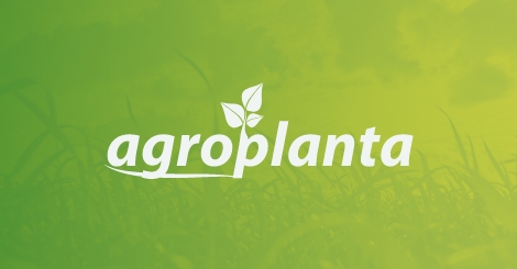 Comercio e Representacoes de Insumos Agricolas